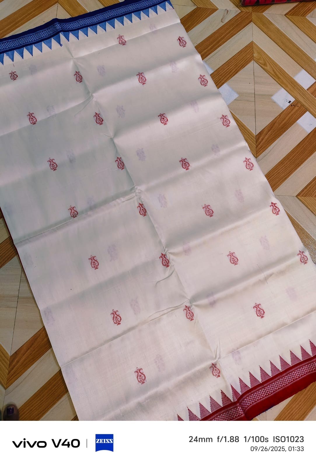 Contemporary Ikkath Gopalpur Fine Tussar silk saree