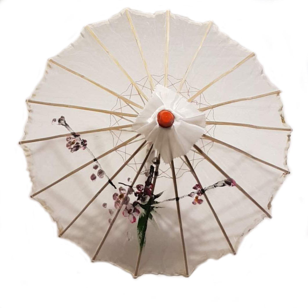 White Transparent Chinese Parasol 22in 160-15 S-4499