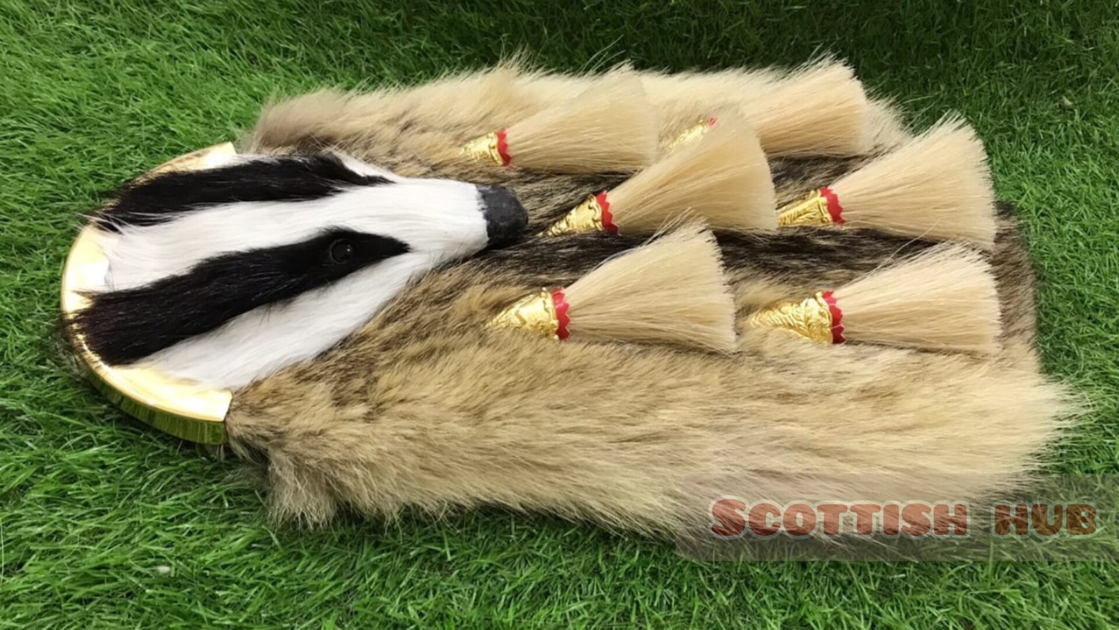 Scottish Argyll Sutherland&Highlanders Officers Badger Head Dress Kilt Sporran