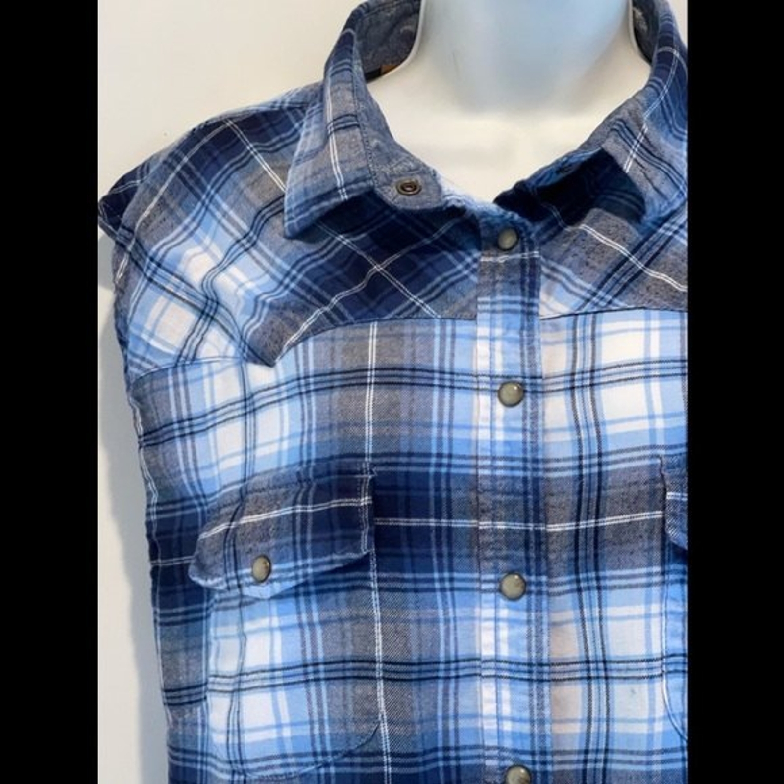 Jachs Girlfriend Sleeveless Flannel Button Down Top