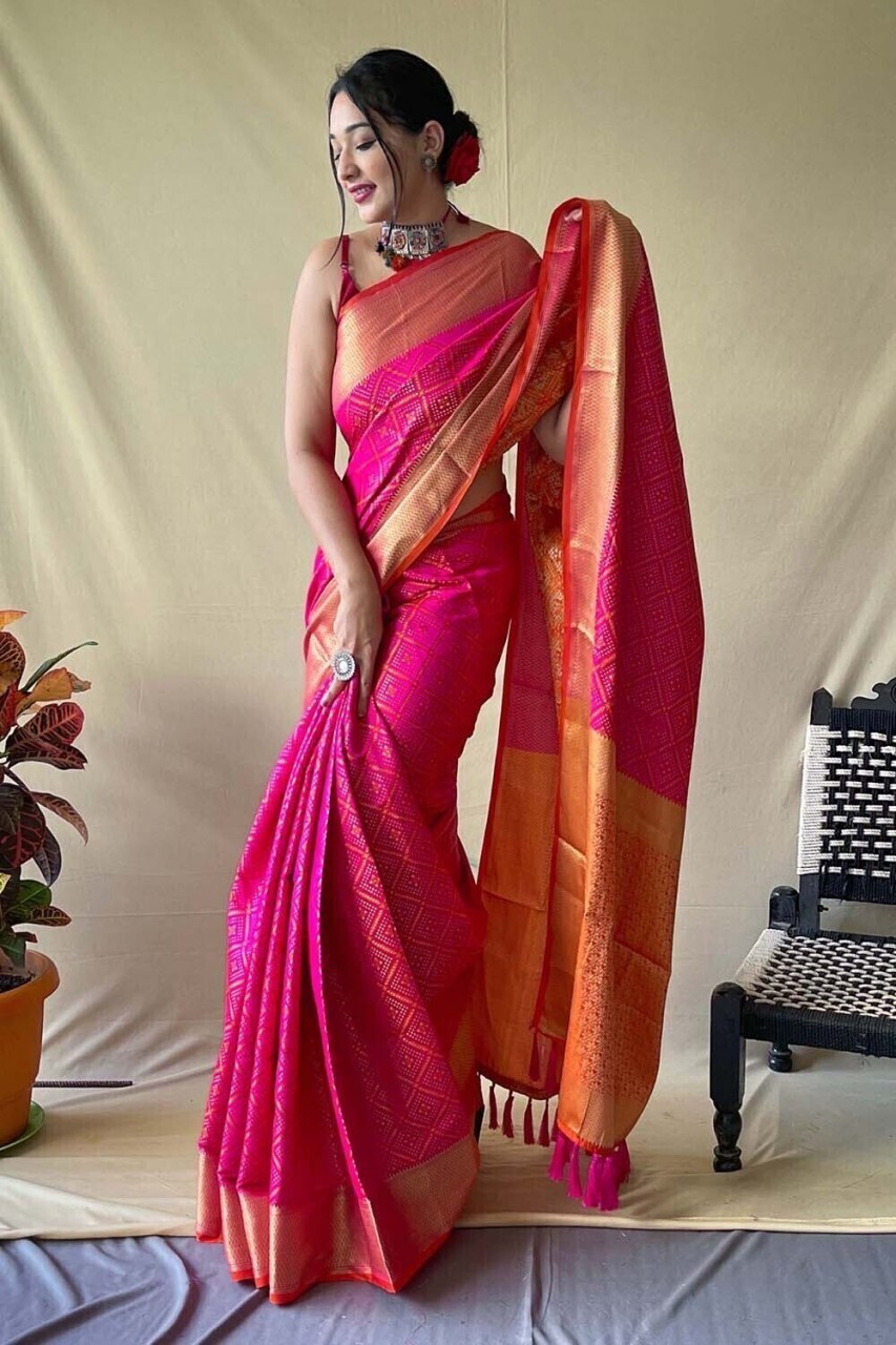 Woven Handloom Nylon Saree (Pink, Orange)