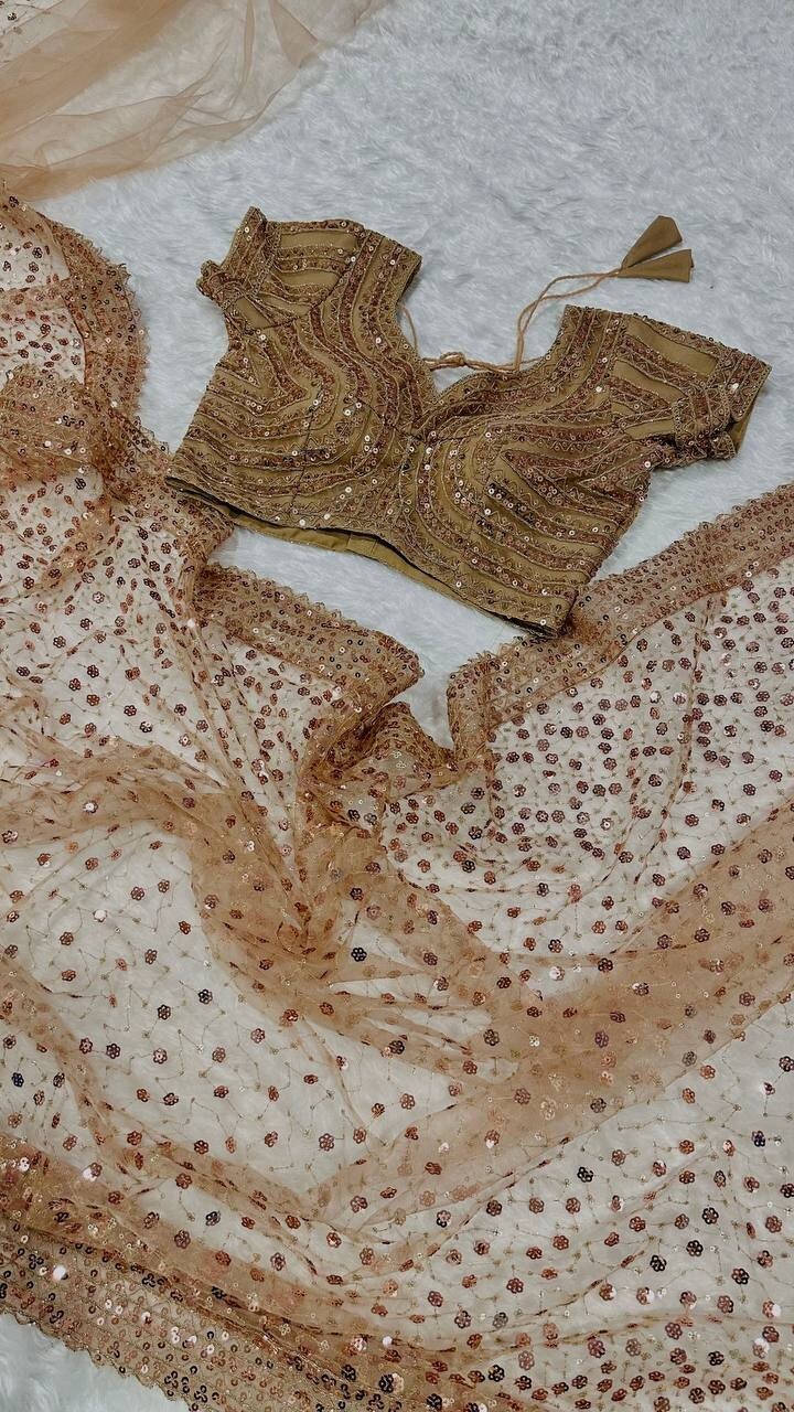 Latest Collection Net Fabric Beige Saree With Blouse For Indian Function