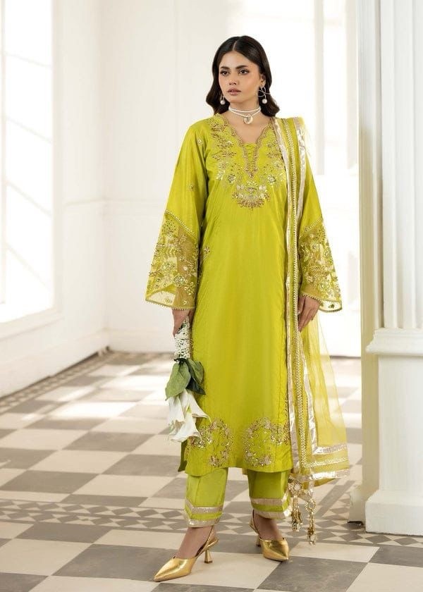 ASIAN STITCH ZARQUN BRAND – Emb Raw Silk Front & Back Emb, Net Lux Dupatta – $75
