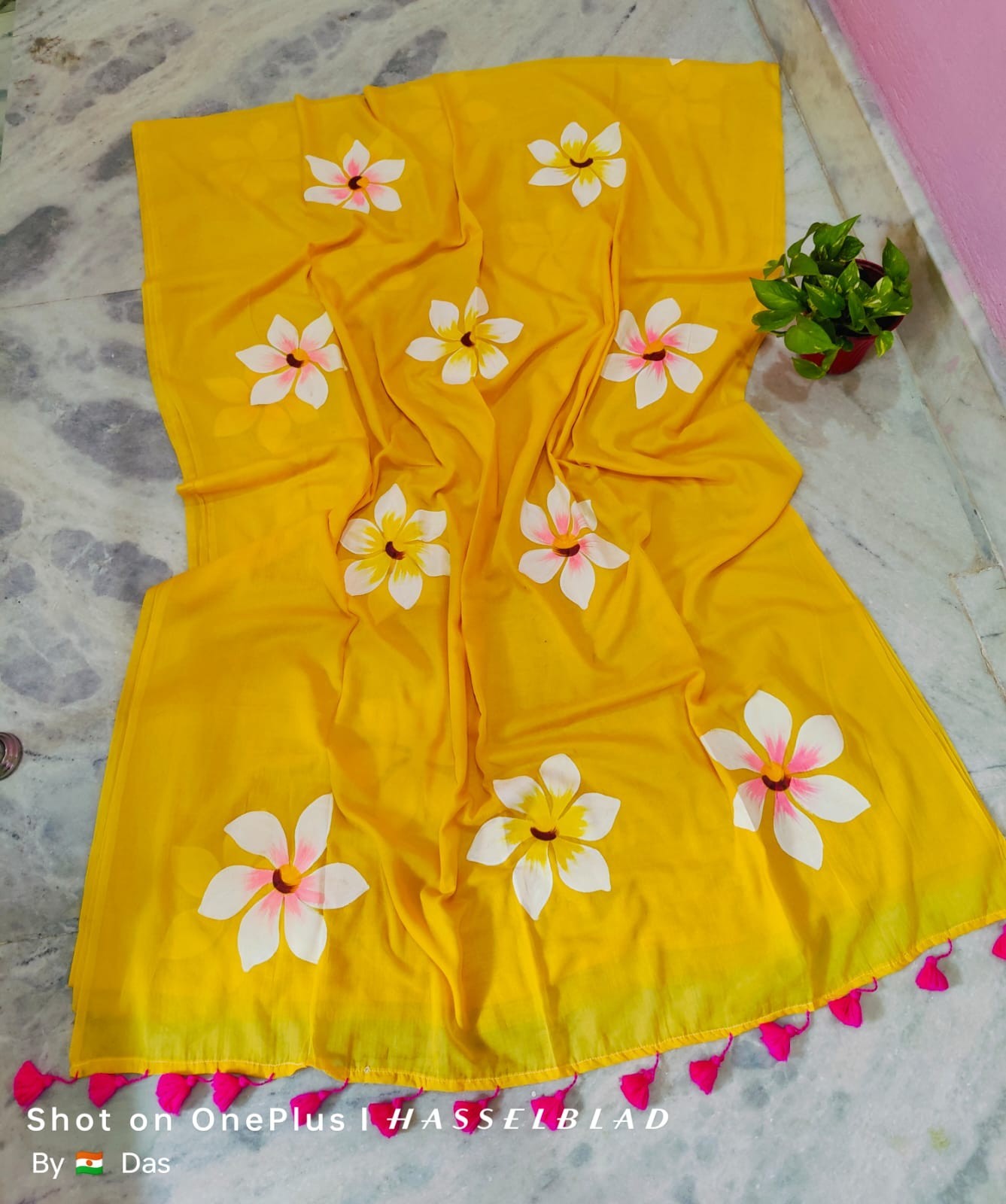 Pure Mull Cotton Hand Painted Saree Soft Lightweight Floral Designer Ethnic Wear