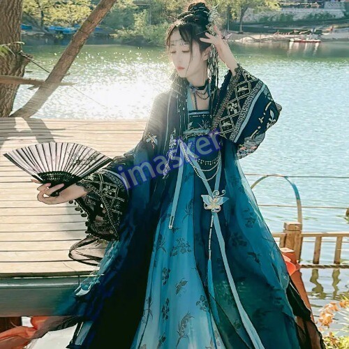 Traditional Women Tang Dynasty Embroidery Hanfu Dress Elegant Ancient Lady