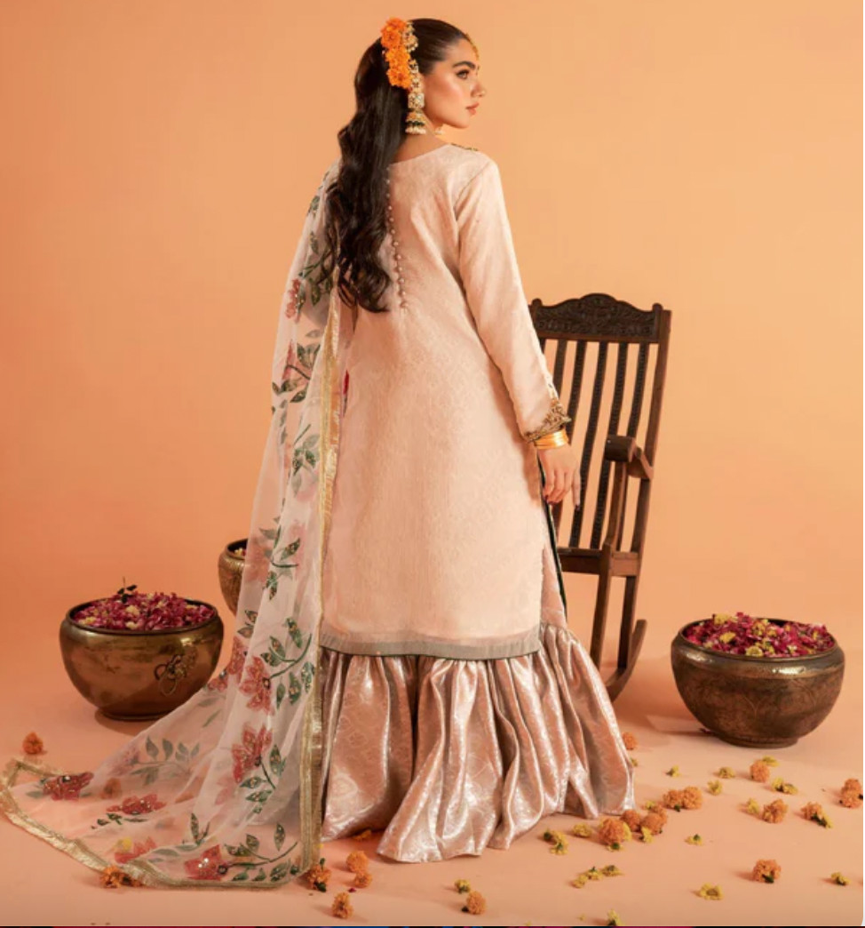 Haseens Official pakistani gharara outfit – BRAND NEW!!