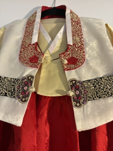 Stunning Traditional Korean Hanbok 3 Piece Dress For Girls Size 13
