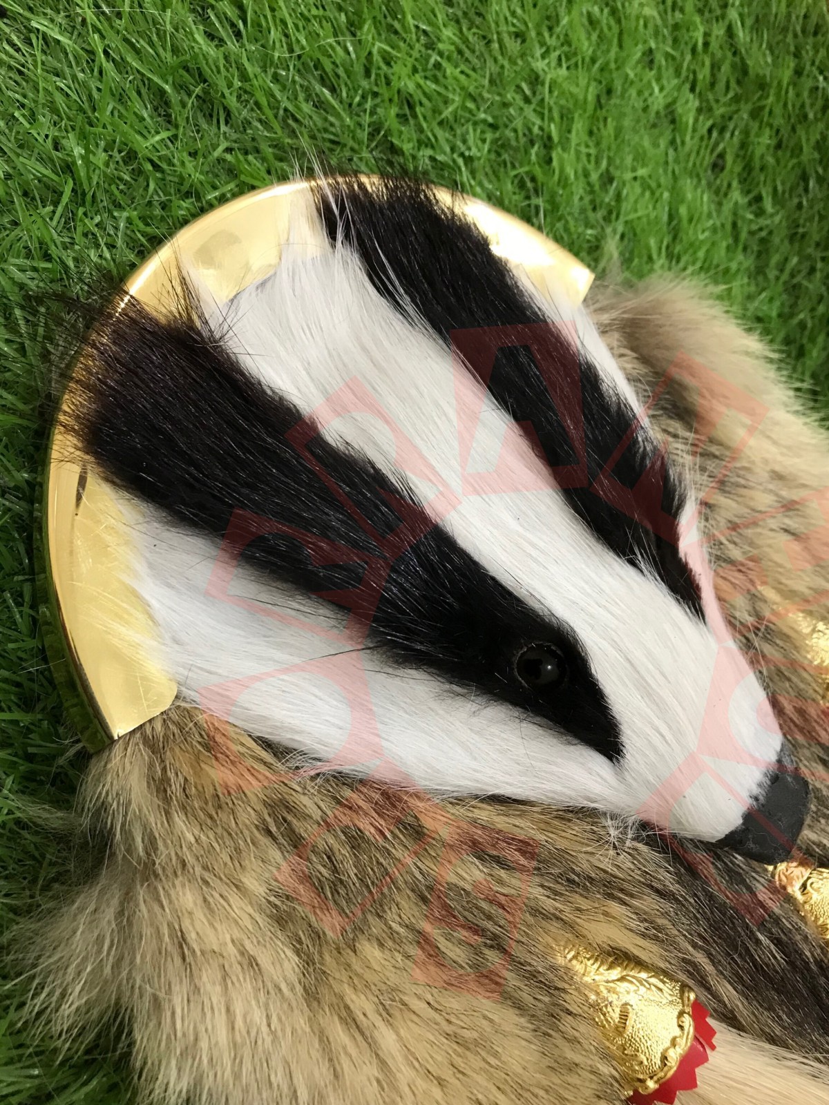 Scottish Argyll Sutherland&Highlanders Officers Badger Head Dress Kilt Sporran