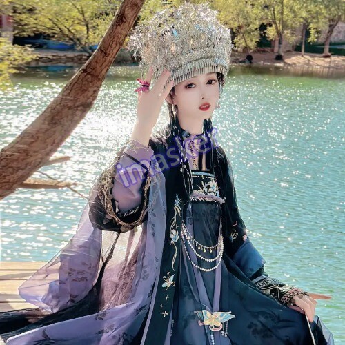 Traditional Women Tang Dynasty Embroidery Hanfu Dress Elegant Ancient Lady
