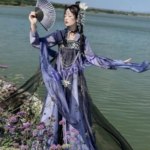Traditional Women Tang Dynasty Embroidery Hanfu Dress Elegant Ancient Lady