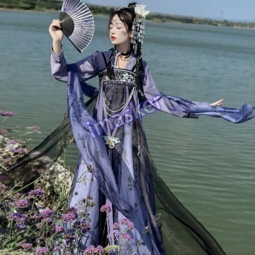 Traditional Women Tang Dynasty Embroidery Hanfu Dress Elegant Ancient Lady