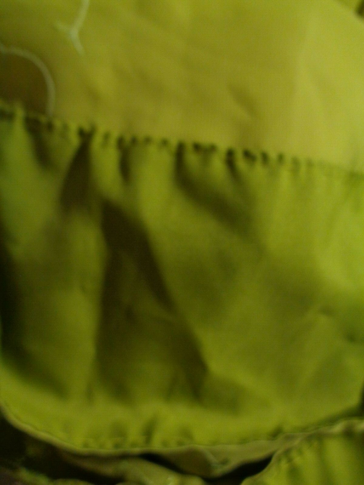 India Sequin Hand Embroidery Georgette Sari Saree Light Green or Yellowish Green