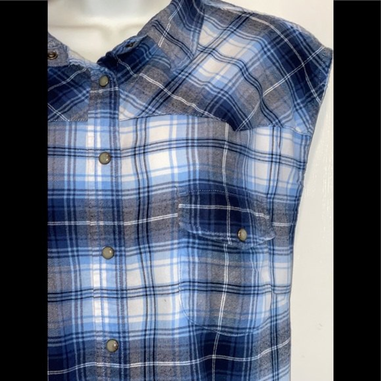 Jachs Girlfriend Sleeveless Flannel Button Down Top