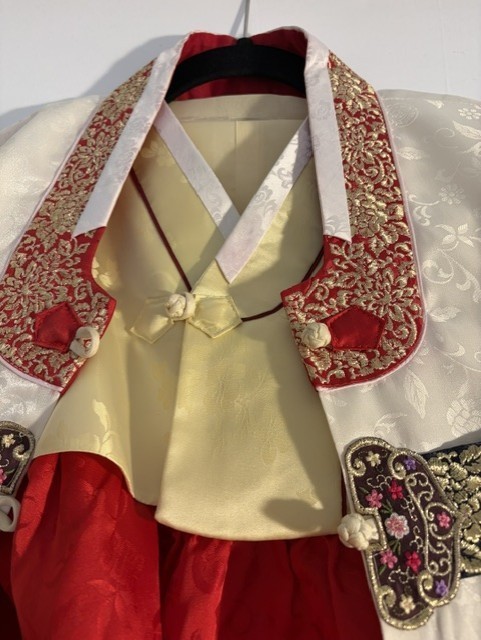 Stunning Traditional Korean Hanbok 3 Piece Dress For Girls Size 13