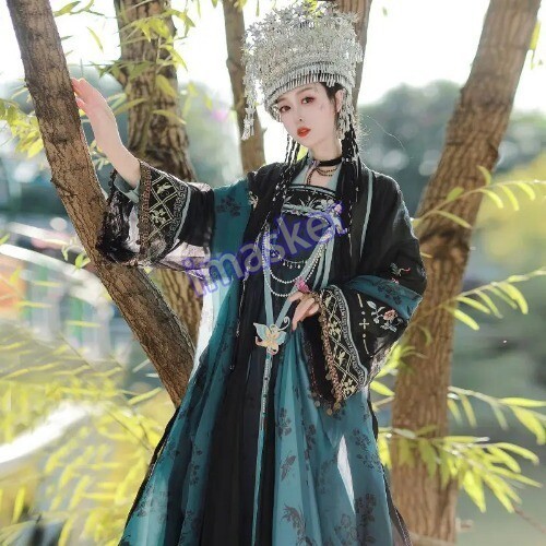 Traditional Women Tang Dynasty Embroidery Hanfu Dress Elegant Ancient Lady
