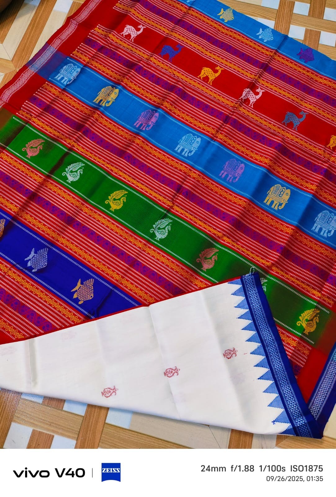 Contemporary Ikkath Gopalpur Fine Tussar silk saree
