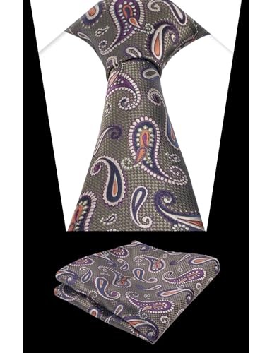 Mens Colorful Paisley Necktie and Pocket Square Sets 144-olive+purple