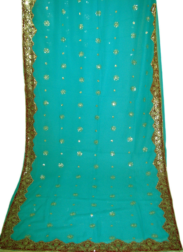 Bollywood Wedding Sequin Chiffon Sari Saree BellyDance Curtain Dress Oriental NW