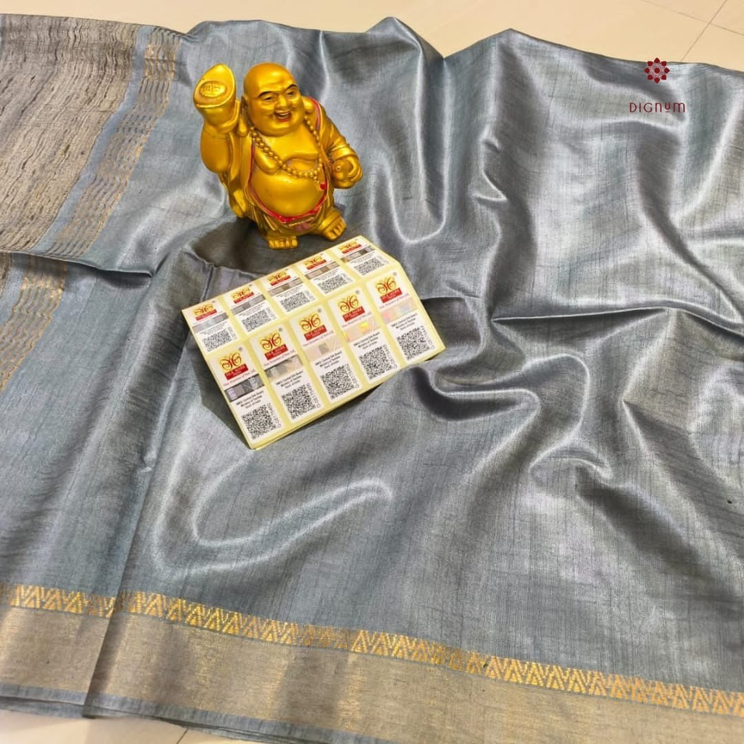 Silver Grey Pure Tussar Munga Banarasi Saree