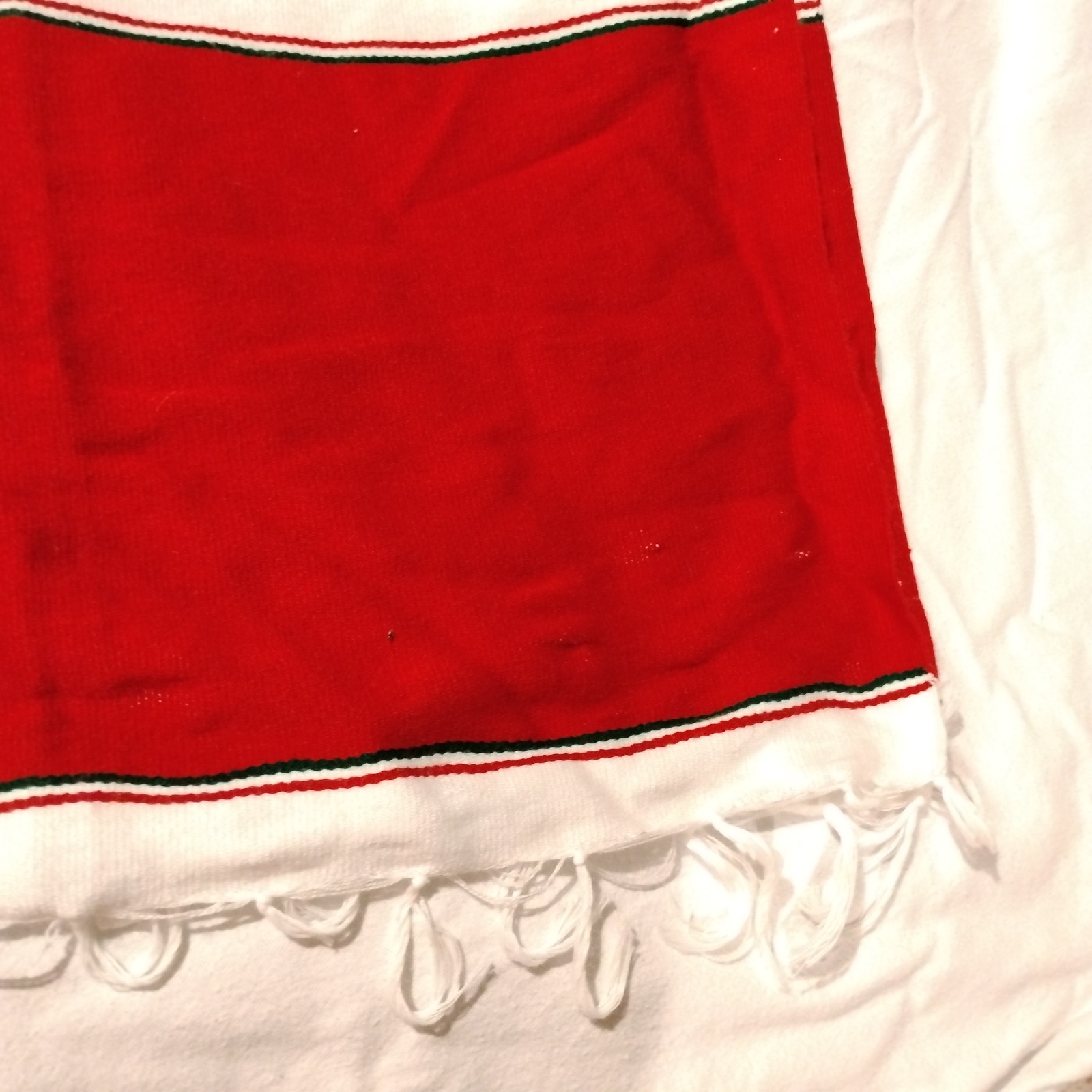 Mexico One Size Poncho Green Red White Eagle And Snake Fringe 35″x40″ Vintage