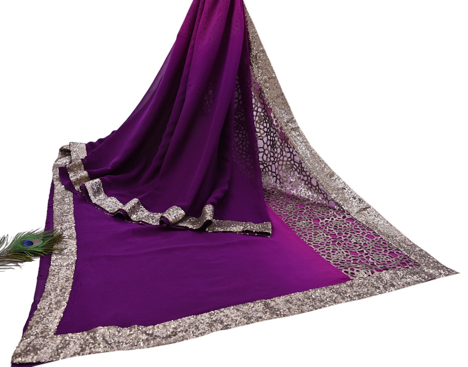 Rare Vintage Purple Pure Chiffon Silk Hand Embroidered Designer Sabyasachi Saree
