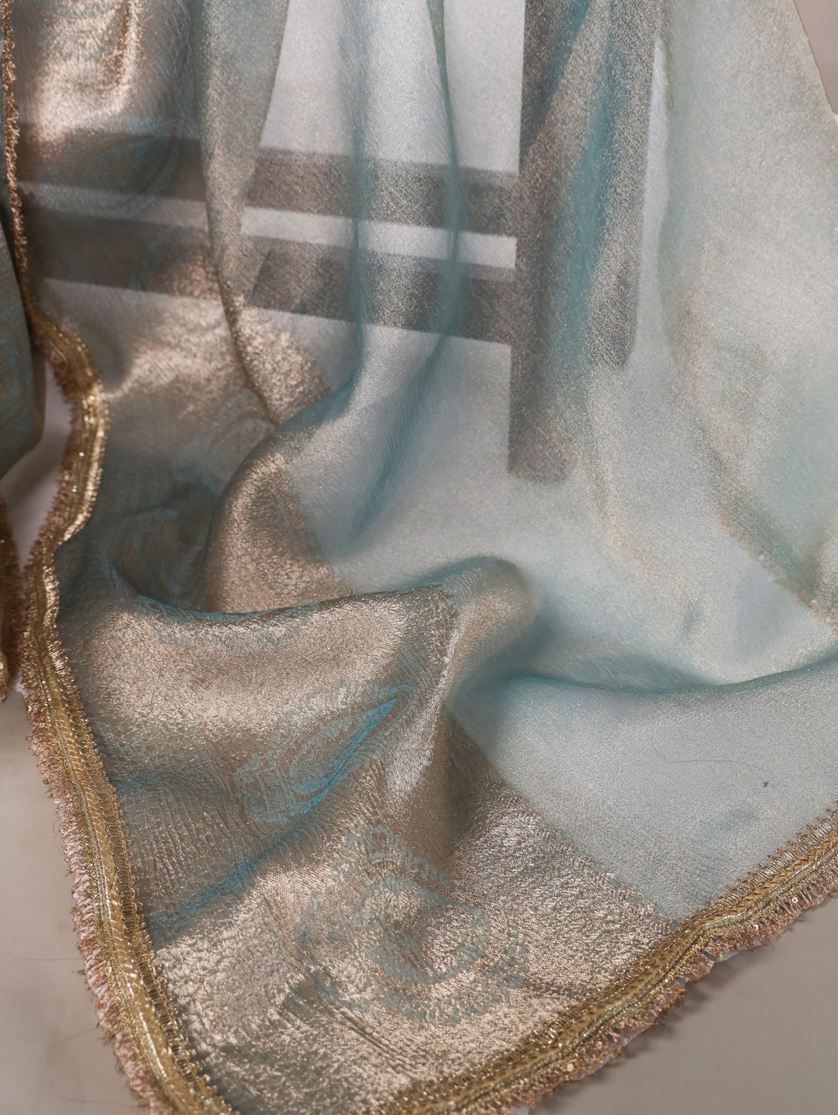 Tissue Shimmer Silk Saree Zari Weave Sequin Lace Border Indian Wedding Festive