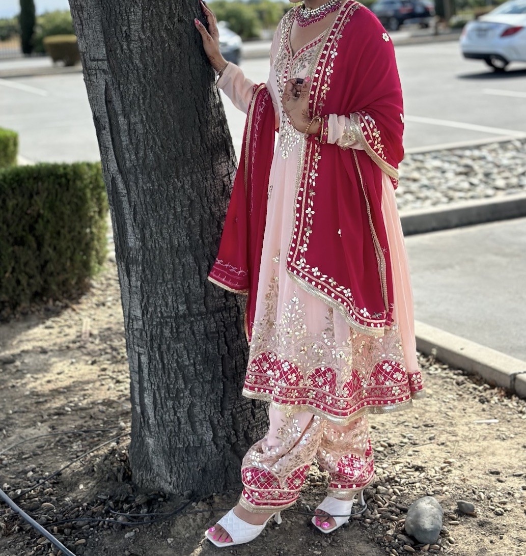Designer Shalwar Kameez Embroidery Indian Pakistani Tradition